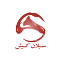 logo25 logo25